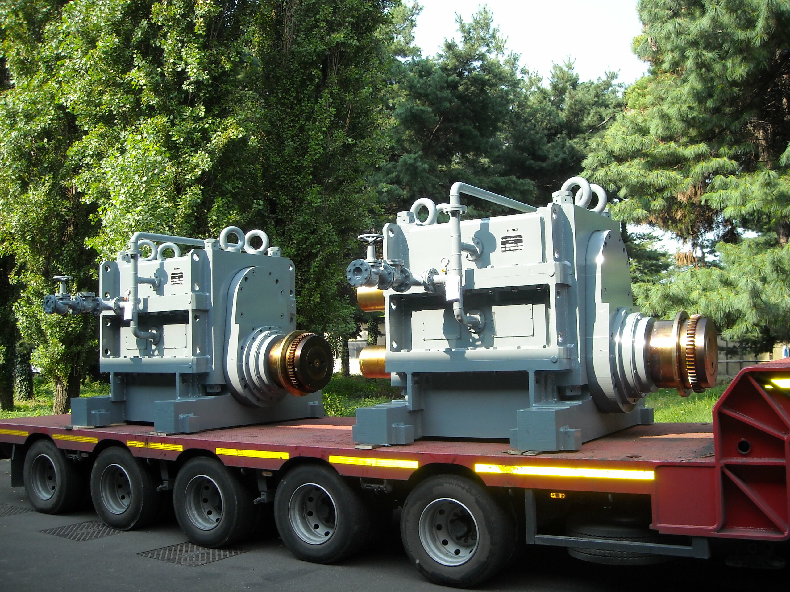 Elli Seites – Gabbie a pignoni